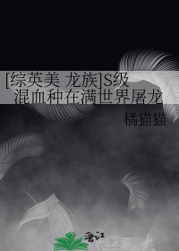 [综英美&#43;龙族同人] S级混血种在满世界屠龙